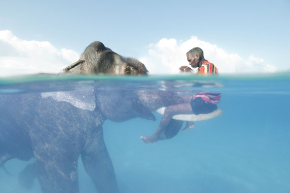 Cesare Naldi, USA
DER ELEFANT UND SEIN MENSCHCesare Naldi, Andamanen. Der Asiatische Elefant Rajan genießt zusammen mit seinem Mahout (Elefantentreiber) Nazroo das warme Meerwasser vor den Andamanen. Rajan ist der letzte der schwimmenden Arbeitselefanten, die im 19. Jahrhundert hier angesiedelt wurden. Inzwischen ist er im Ruhestand – und schwimmt nur noch zum Spaß.