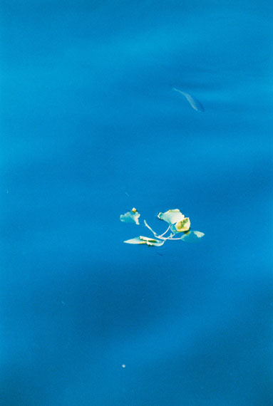 Frank Mädler, Fisch in Blau, 2016, analogue C-Print, mounted, framed, 177.5 x 119 cm, Ed. 4© Frank Mädler