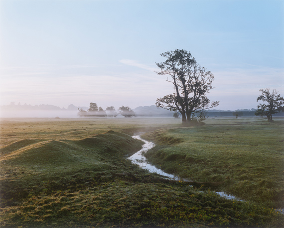 New Forest, 2018
C print
58 x 71in / 148 x 180cm (edition of 3)
32 1/2 x 39 in / 83 x 100cm (edition of 7)
© Harry Cory Wright