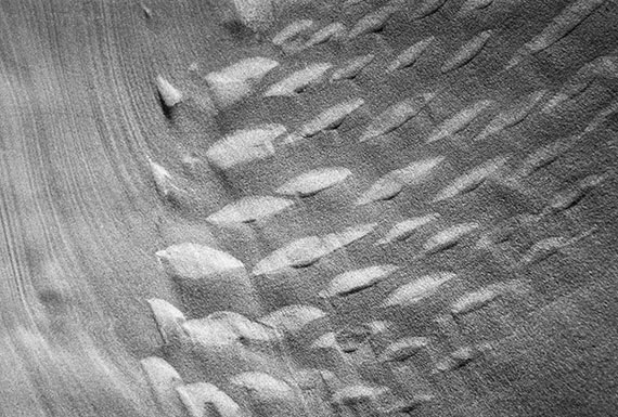 Alfred EhrhardtTextures in the sand1934Silver gelatin print16,1 x 23,8 cm© Alfred Ehrhardt Stiftung