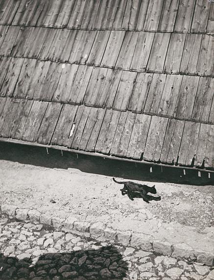 Etel Mittag-Fodor
"The Cat who walks alone" (Sarajevo), 1936
Silbergelatine-Abzug
21,6 x 16,5 cm
© Bauhaus-Archiv Berlin