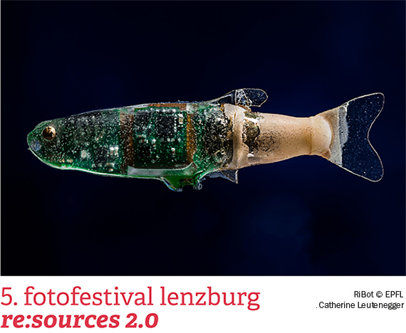 5. Fotofestival Lenzburg