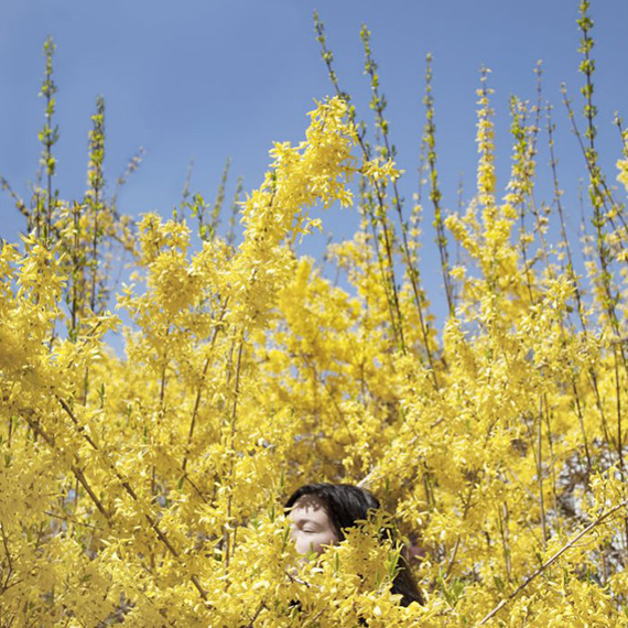 Above from the JPMorgan Chase Art Collection: Cig Harvey (British, born 1973), Claire in the Forsythia, Rockport, ME, 2010. Chromogenic print. Acquired in 2022. © Cig Harvey, courtesy Robert Klein Gallery