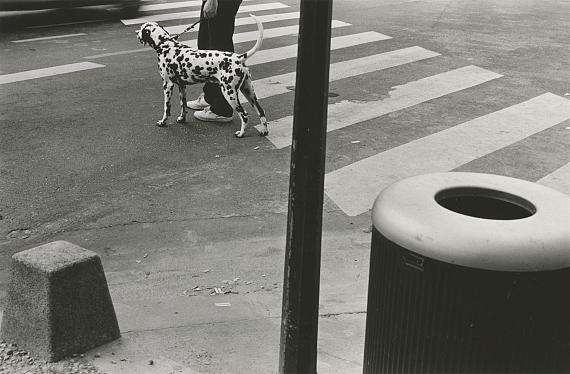 Zebrastreifen mit Hund, Paris, 1988 © Manfred Paul