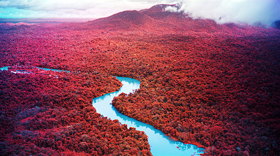 Richard Mosse, still from 