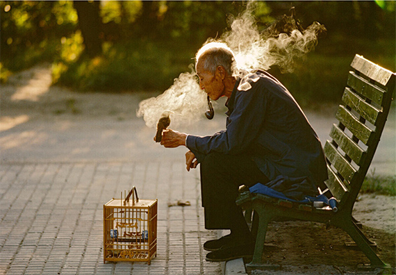 Thomas Hoepker: Old man with his pet bird in Ritan Park, Beijing, China, 1984 
© Thomas Hoepker / Magnum Photos
