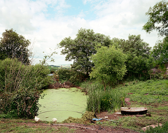 The Pond at Upton Pyne