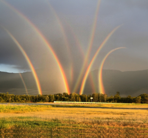 Andrea Orejarena & Caleb Stein, Rainbow Glitch (Found Image) 
© Orejarena & Stein. Courtesy Palo Gallery, NY.