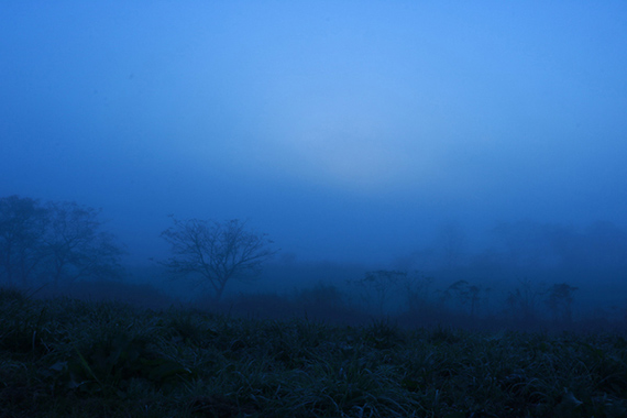 © Natsoumi, À L’AURORE BLEUTÉE
130 x 87cm, photographed in 2018, printed in 2024
Somëzuri pigment print on Echizen washi paper