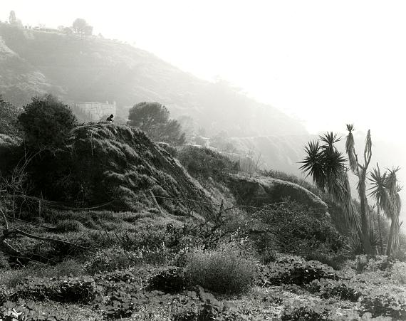 Mark Ruwedel
Bluff Cove #3, 2015
Gelatin silver print mounted on archival board
Image size: 11 x 14 inch
Edition of 5