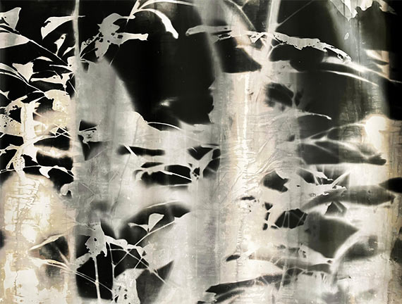 Roberto Huarcaya
Amazograma V [Detail] 2022
Amazogramas
3000 x 108 cm
Photography | Photogram on photosensitive paper