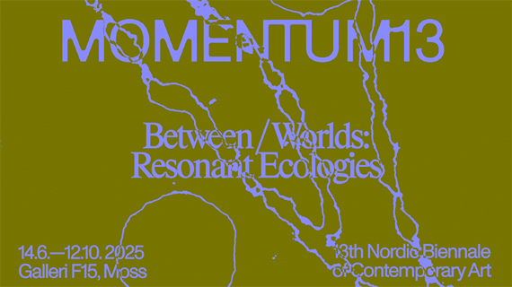 MOMENTUM 13