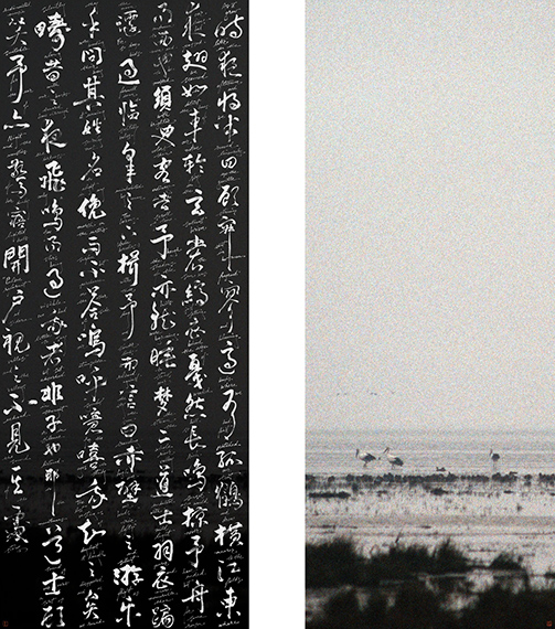 Michael Cherney
Su-Thoreau 蘇-梭羅 , 2025
Photography and bilingual calligraphy, ink on Mitsumata paper 摄影，双语书法 纸本
55 1/2 x 49 in;
141 x 124.5 cm
mounted dimensions: 84 1/4 x 53 in (214 x 134.6 cm)