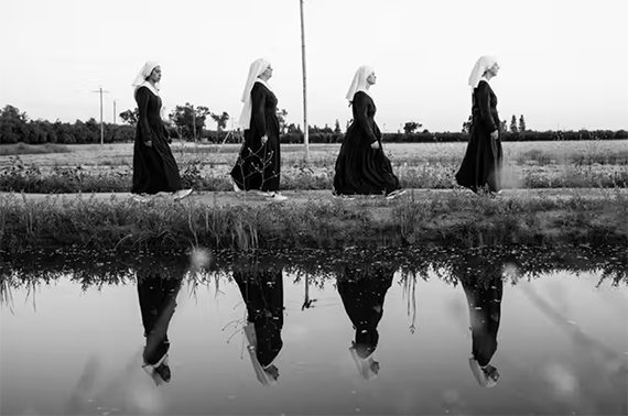 Weed Nuns