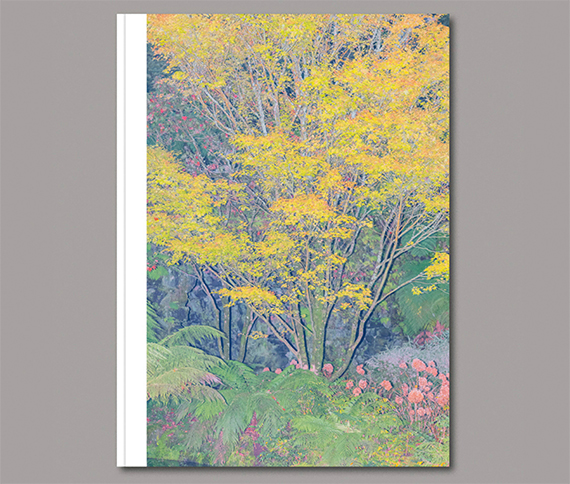 Photobooks