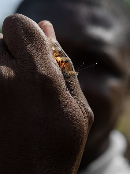Lucas Foglia
Mickaël Holding a Painted Lady Butterfly, Côte d'Ivoire, 2022
Archival pigment print
46 x 58 cm (18 x 23 in)