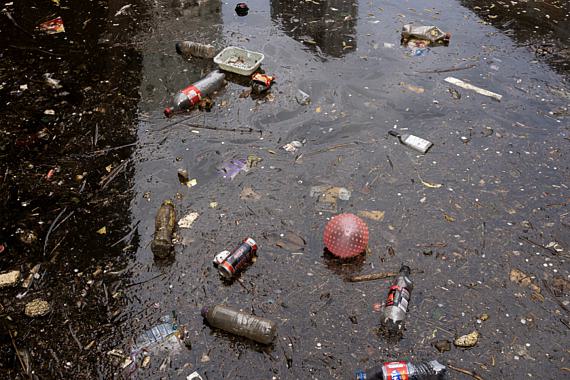 Mitgliederausstellung: Wasser Mitgliederausstellung: Wasser