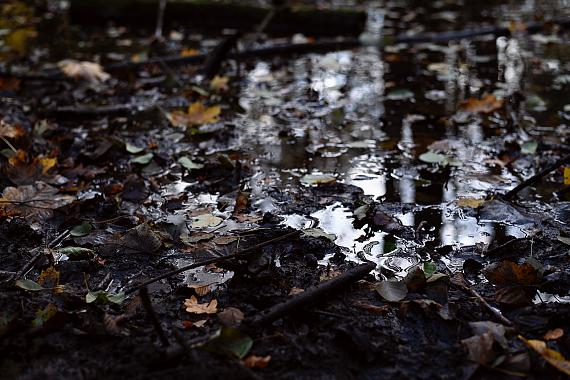 Susanne WehrMembran, 2025Fine Art Print Hahnemühle Baryta, Float Montage gerahmt120  x 175 cm