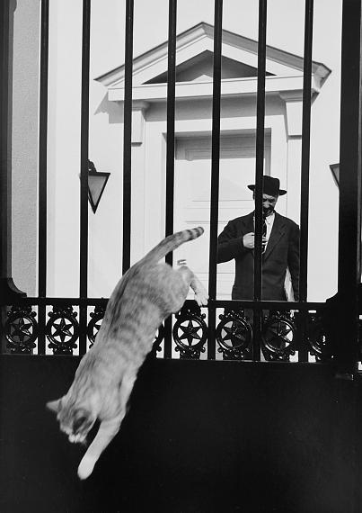 Zwischen Blick und Begegnung