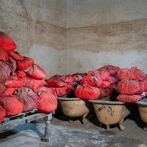 &copy; Dayanita Singh