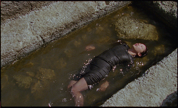 animism sings anarchy