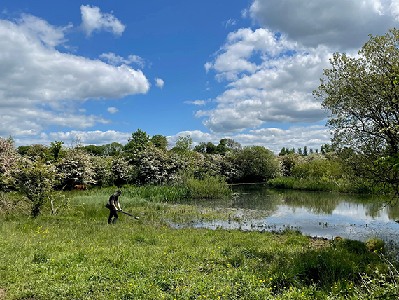 Scannán Glas Scannán Glas