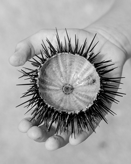 Giulia Vanelli, TheSeason_32, Quercianella, 2020 &copy; Giulia Vanelli 