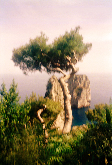 Jacquie Maria WesselsMemory Master #25 Capri, Italy, 2016Analogue photo printed on silk fabric120 x 80 cm