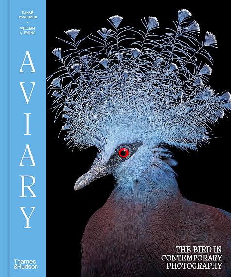 Aviary - The Bird in Contemporary Photography