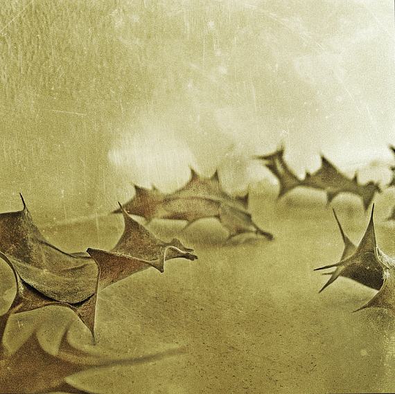 © Alessandra Capodacqua