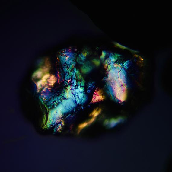 Seeing the World in a Grain of Sand