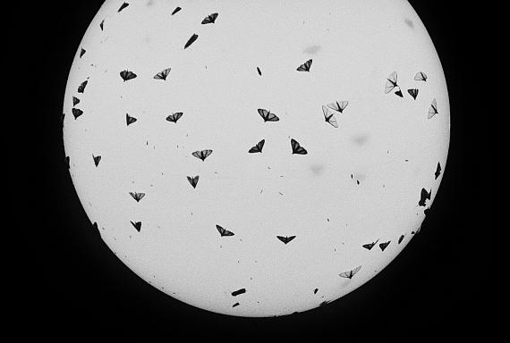 AUSTRALIA, Queensland, Coolum, 2003© Trent Parke / Magnum Photos