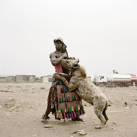 Modèle animal