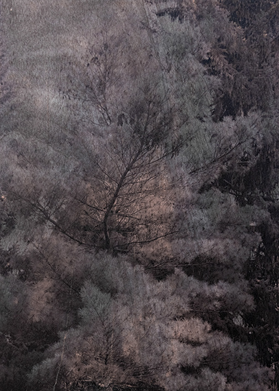 Controlled Burn