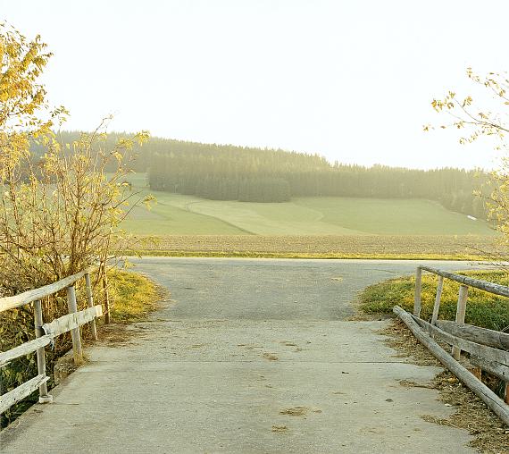 Weideland
