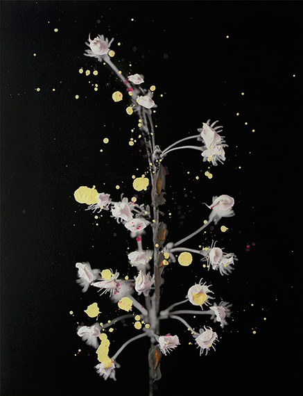 Plant I (Cherry Blossom) 2011160x123cm
© Nanna Hänninen.