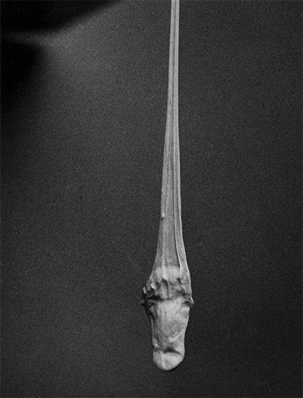 Photographs, New acquisitions, 2003-2007