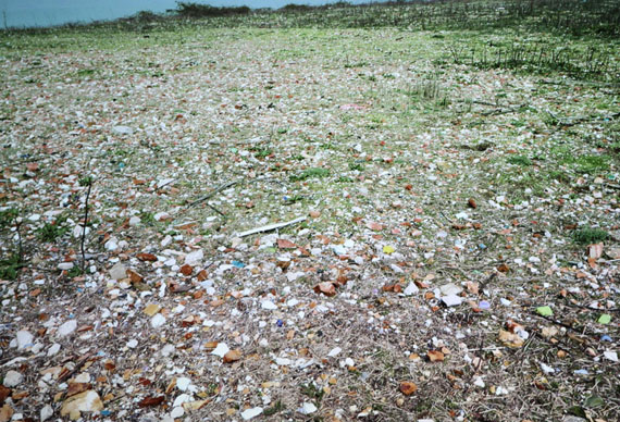 sacca san mattia is the largest piece of vacant land in venice
video stiiimage © designboom
© lara almarcegui