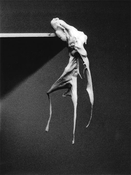 Sculpture Undone, 1955-1972