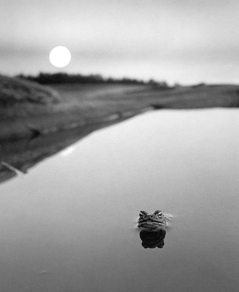 Pentti Sammallahti: Ristisaari, Finnland, 1974. Courtesy Galerie Camera Obscura Paris