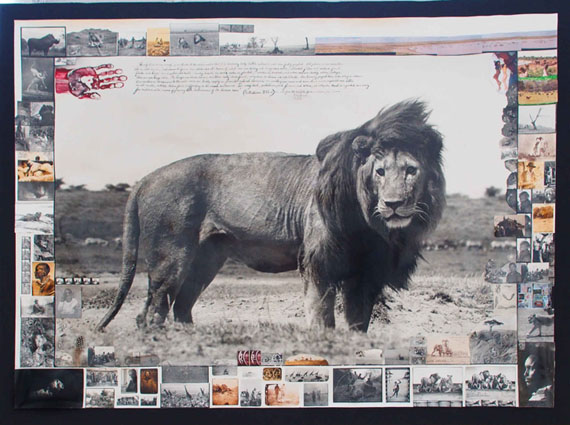 Peter BeardSerengeti Lion, 1976Silver Gelatin Print - variously inscribed with ink and collage - 176.5 x 128.5cm176.5 x 128.5cm© Peter Beard, courtesy of Michael Hoppen Gallery