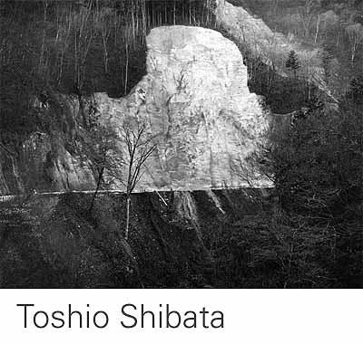 Exhibiting Artist Toshio Shibata