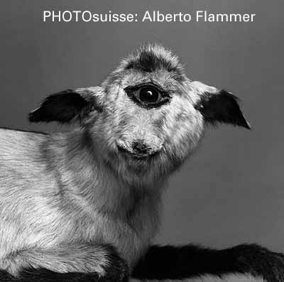 PHOTOsuisse: Alberto Flammer
