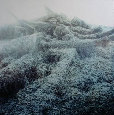 Knut Wolfgang Maron, aus: Bilder über Landschaft, 2005/07