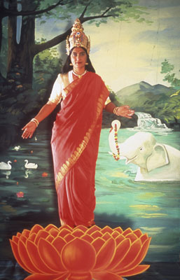 Pushpamala N., Lakshmi (from "Native Types" series), 2000-04, C print on metallic paper, 61 x 50.8cm, Courtesy: Nature Morte, New Delhi, Photo: Clare Arni