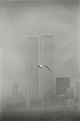 © Louis Stettner 'Seagull, Twin Towers', New York, 1979