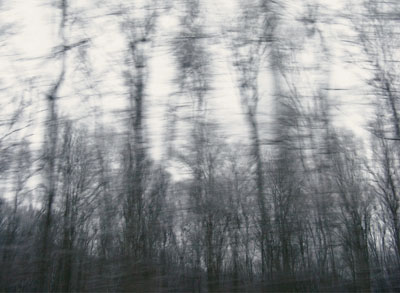 Wiener Wald, Austria 2008-2009, ©Ulrike Crespo